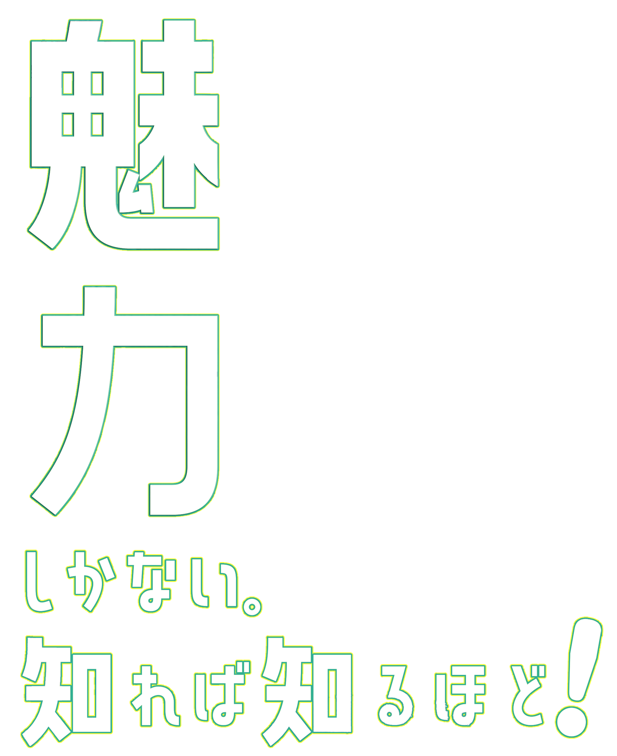 魅力しかない。知れば知るほど！